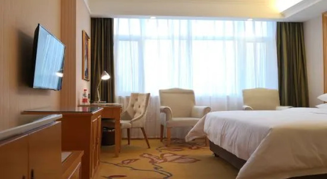 Люкс Deluxe Vienna Hotel ( Liaocheng Tita Jinding Shopping Center Branch)