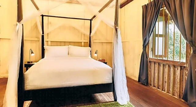 Номер Standard с видом на сад Temple Tree Resort