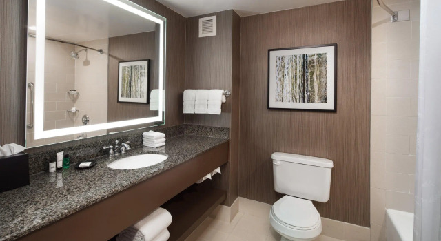 Четырёхместный клубный номер Standard с балконом Sheraton Agoura Hills Hotel
