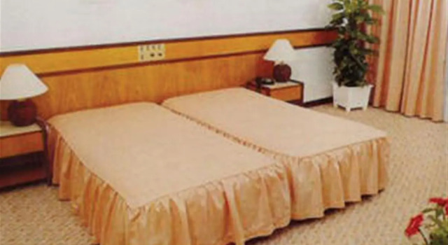 D. Afonso Hotel & SPA