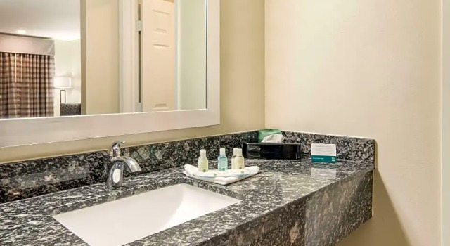 Четырёхместный люкс Quality Inn & Suites Dallas-Cityplace