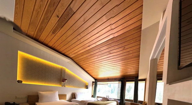 Люкс Ayder Resort Hotel