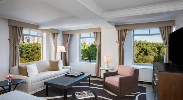 Двухместный люкс c 1 комнатой с видом на парк The Ritz-Carlton New York, Central Park