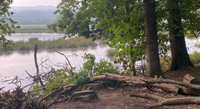 Ihr Apartment in der Natur, 예약 아파트 Schwerte Ruhr area