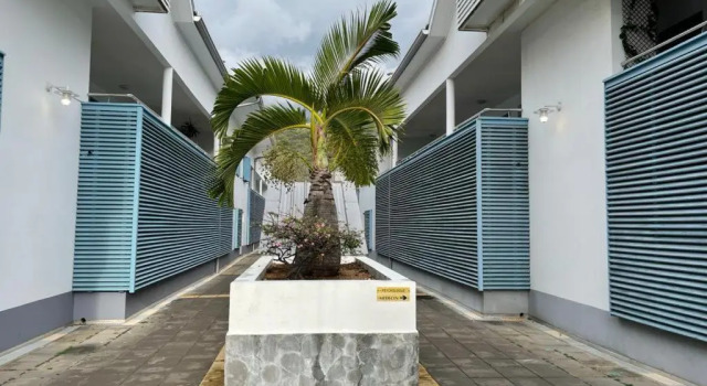 Апартаменты Saint-Leu Reunion Centre Ville T3 Duplex Meuble