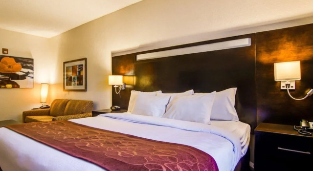Одноместный люкс Comfort Suites Northside Hospital Gwinnett