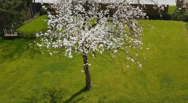 Apartment near Frankfurt, fantastic view!, Buchen Sie Ferienwohnung Usingen Taunus