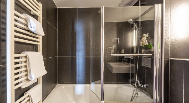 Одноместный номер Comfort PLAZA INN Wels
