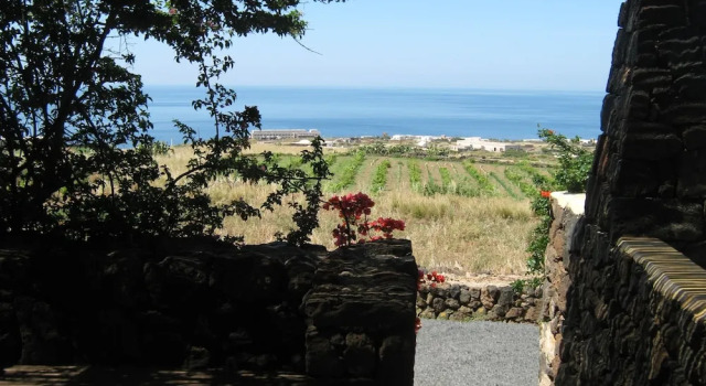 Апартаменты Deluxe Agriturismo Zibibbodoro