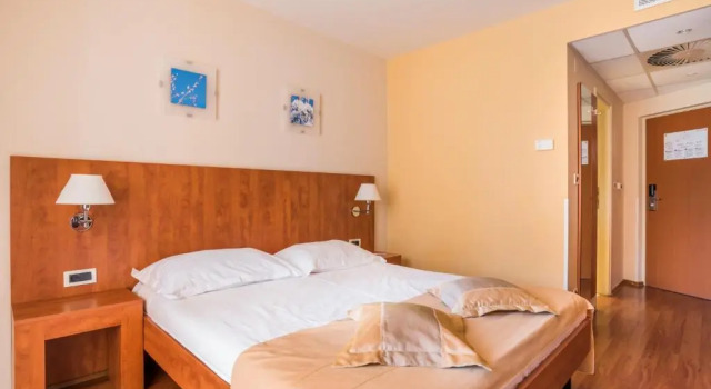 Одноместный номер Economy с видом на парк Hotel Umag Plava Laguna