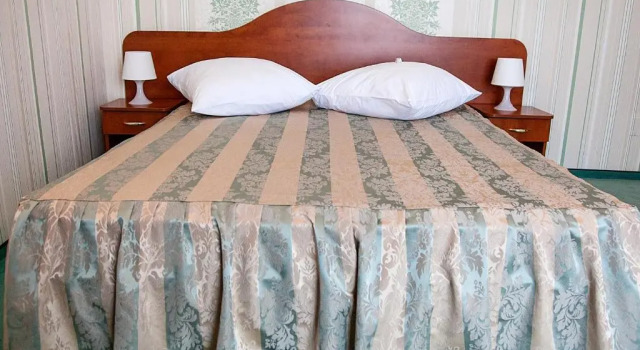 Двухместный номер Standard Hotel Rusu