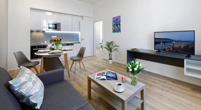 Апартаменты c 1 комнатой DownTown Suites Jugoslavska