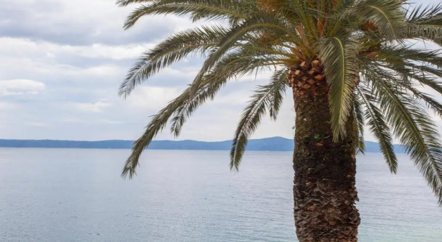Апартаменты Apartments Sumic Podgora