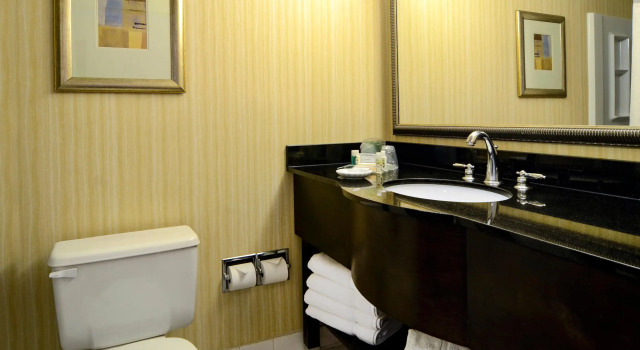 Двухместный номер Standard Holiday Inn Washington DC-Greenbelt MD by IHG