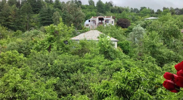 Номер Standard Esmeralda Guest House