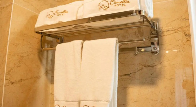 Двухместный номер Standard с балконом Camellia Luxury Hotel Tam Đảo