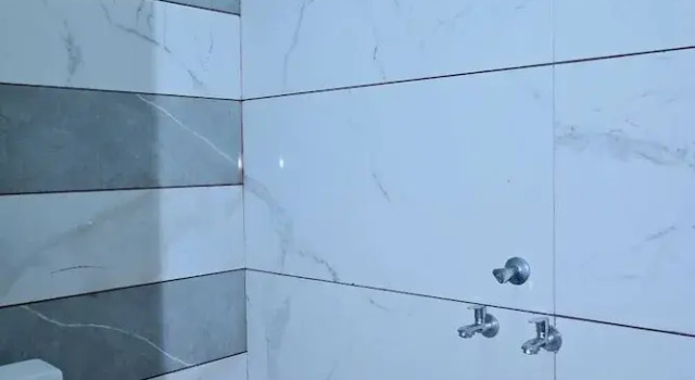 Номер Standard Hotel Narayan Palace