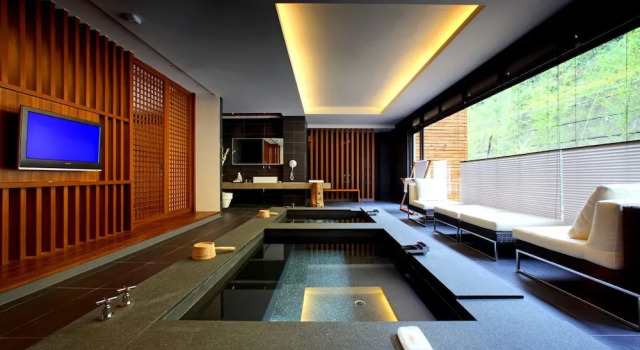 Двухместный номер Deluxe Goya Spring Resort
