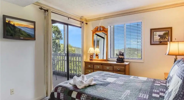 Ski View Mountain Resort 305 - Two Bedroom Condo