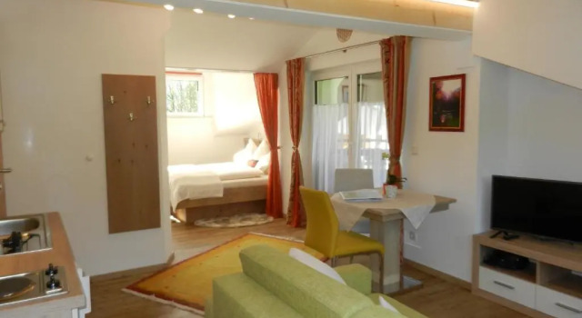 Студия Apartments Saalachtal