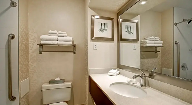 Двухместный люкс c 1 комнатой Holiday Inn Windsor - Ambassador Bridge by IHG