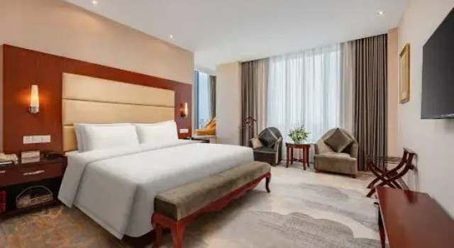 Люкс Business Wuhu Bary Central City Hotel