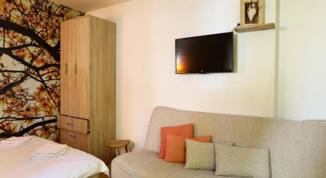 Студия Apartments Sport House Novakovic