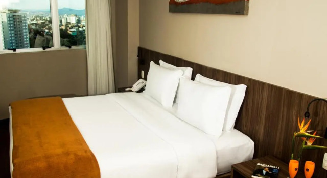 Номер Deluxe BH Raja Hotel
