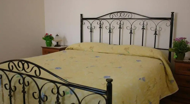 La Grevillea