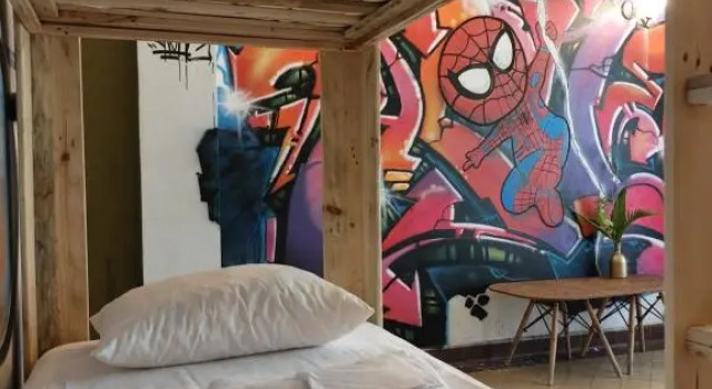 Кровать в общем номере (женский номер) The GREEN Hostel