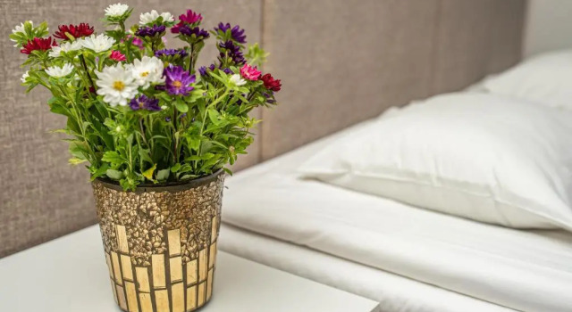 Двухместный номер Standard Hotel Sanvilla