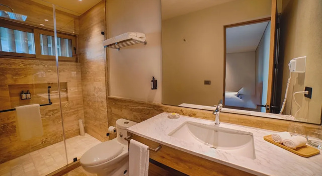 Двухместный номер Superior с видом на город HOTEL CASA ARANZAZU SAN LUIS POTOSI