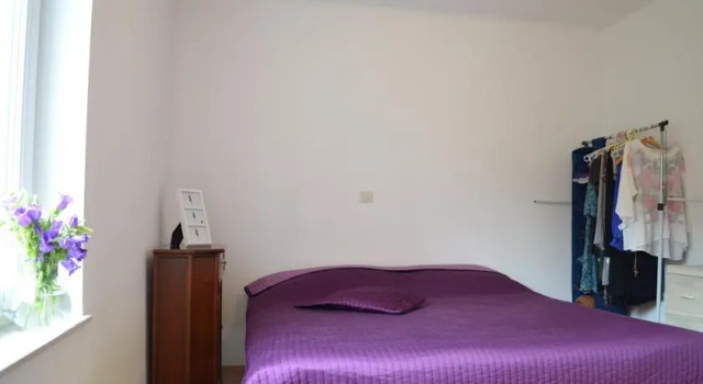 Apartment Colori