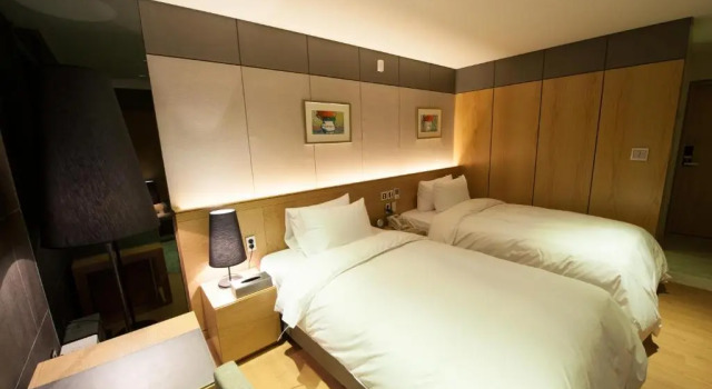 Двухместный номер Standard Rian Hotel