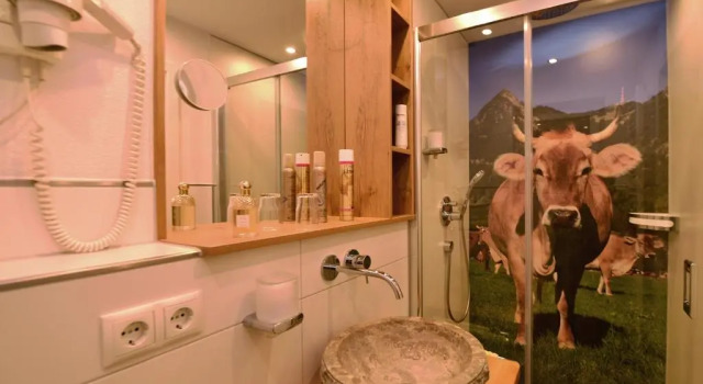 Двухместный номер Standard с балконом Mein Landhaus