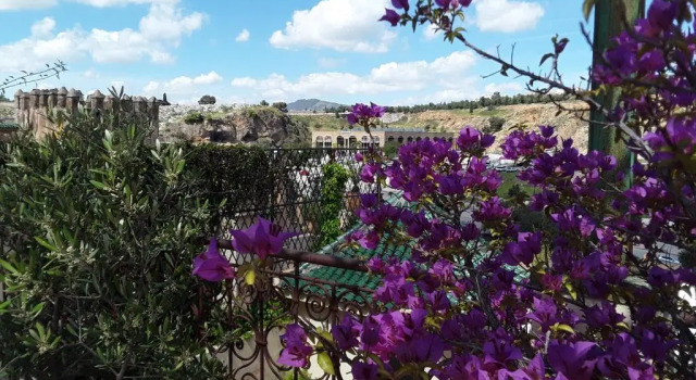 Cottage Riad Vega