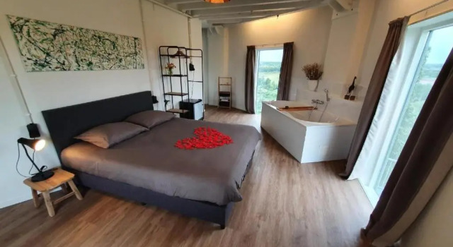 Люкс Deluxe Hotel de Watertoren