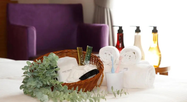 Двухместный номер Deluxe Five Hotel Osaka