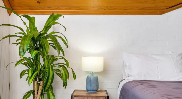 Номер Standard с балконом Aquarius Backpackers Resort