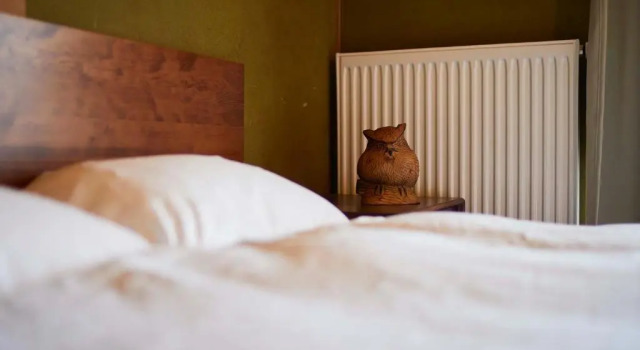 Двухместный номер Standard haku hostel