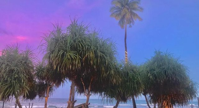 Двухместный номер Standard с видом на море Moon Isle Beach Bunglow