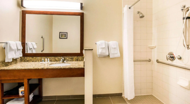 Двухместный люкс Comfort Suites Normal University area