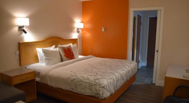 Номер Standard Canadas Best Value Inn & Suites-Castlegar
