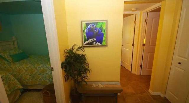 079 - Blue Macaw, Varaa Hotelli North Captiva Florida