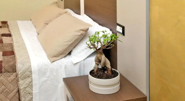 Двухместный номер Standard Roma Suite Centro