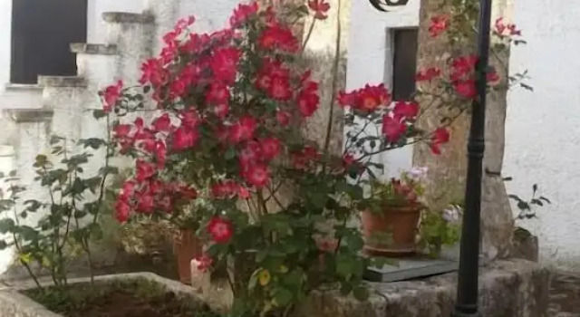 B&B Masseria Donna Carlotta, Забронировать Отель «постель и завтрак» Отели Карпиньяно-Салентино с парковкой, Парковка