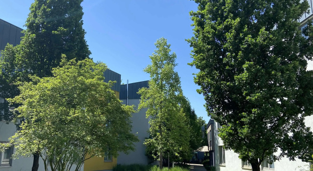 Одноместный номер Standard Median Hotel Hannover Lehrte