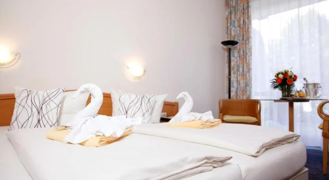 Одноместный номер Standard Sonnenhotel Fürstenbauer