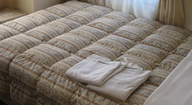 Номер Deluxe Mito Riverside Hotel