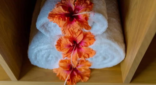 Шале Superior c 1 комнатой с балконом и с видом на океан Paradise Chalets Yoga & Wellness